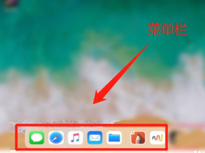 ipad不满屏怎么设置第1步