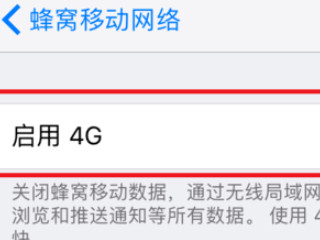 苹果手机1x网络怎么办第5步
