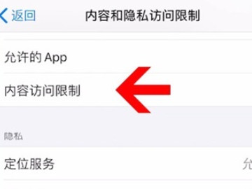 苹果手机可以设置应用锁吗第3步