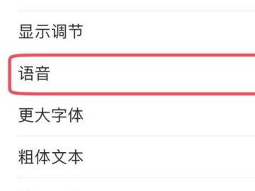 苹果手机一打字就读出来第4步