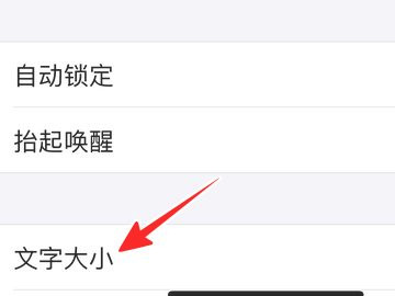 苹果字体大小第3步