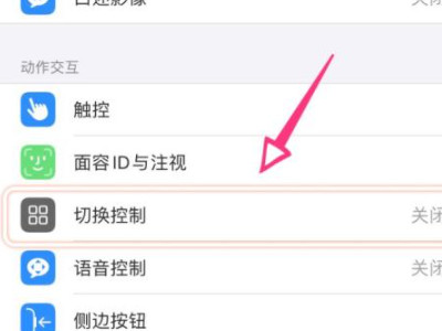 苹果手机出现蓝框怎么取消第3步
