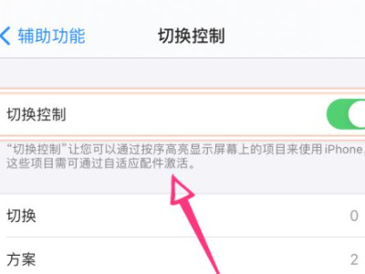 苹果手机出现蓝框怎么取消第4步