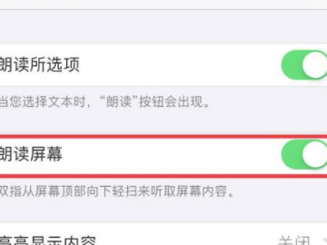 苹果朗读功能怎么开启第5步