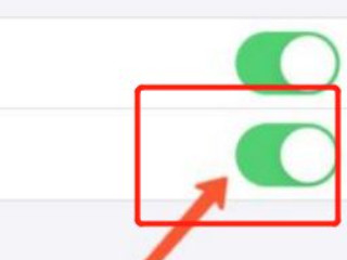 iOS14有没有接通电话震动第2步