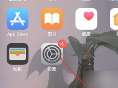 苹果手机后置摄像头黑屏怎么办第1步