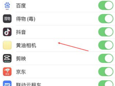 苹果手机后置摄像头黑屏怎么办第4步