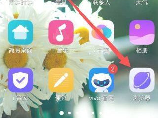 vivo手机浏览器私密空间在哪里打开第1步