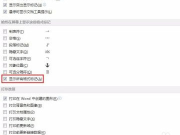 隐藏的分节符怎么显示第5步
