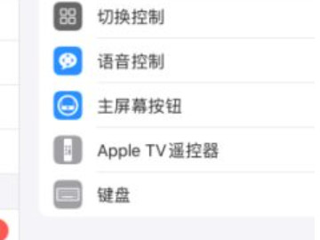 ipad2020触屏唤醒功能怎么设置第3步