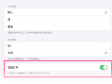 ipad2020触屏唤醒功能怎么设置第4步