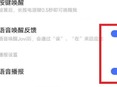 vivo手机突然出现语音播报怎么办第4步