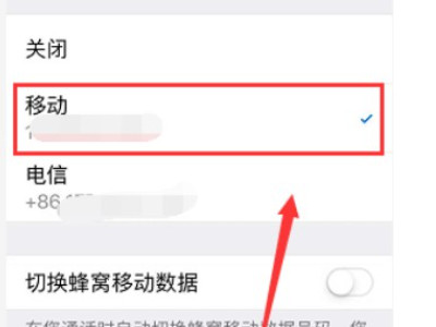xr双卡怎么设置第3步