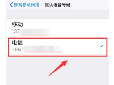 xr双卡怎么设置第4步