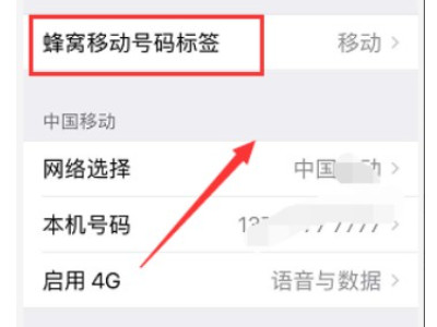 xr双卡怎么设置第5步