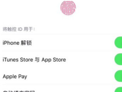 苹果手机设置指纹密码在哪里设置第5步