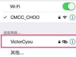 iphone个人热点连不上第4步