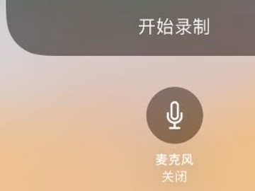 苹果录制通话为什么没有声音第3步
