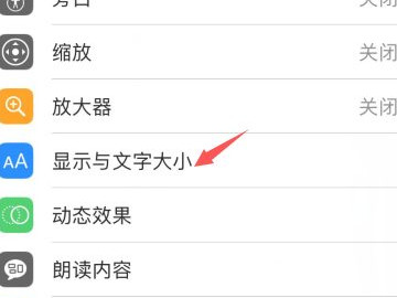 苹果屏幕突然变蓝色调第2步