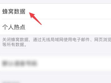 苹果双卡怎么设置流量用哪个卡第3步
