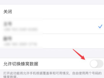 苹果双卡怎么设置流量用哪个卡第5步