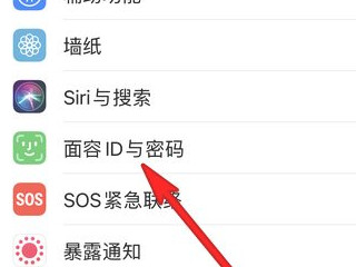 iphone12口罩面部解锁设置第5步