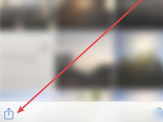 iphone相册做幻灯片怎么保存第3步