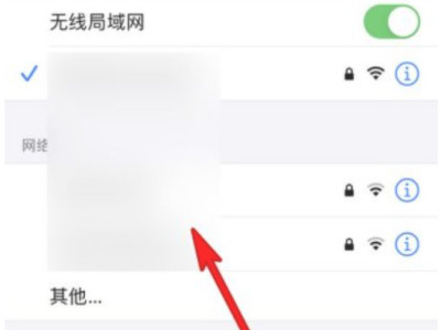 苹果12连不上wifi第3步