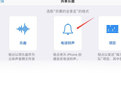 苹果怎么更换铃声啊第4步