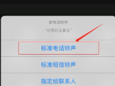 苹果怎么更换铃声啊第6步