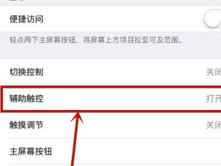 苹果6s怎么设置悬浮球功能第4步