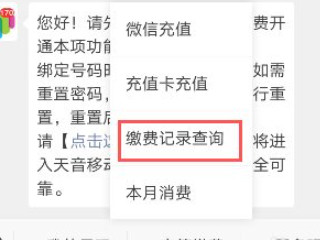 天音移动怎么查话费第7步