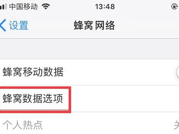 iphone12关闭5g开关第3步