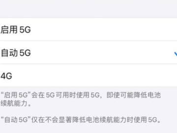 iphone12关闭5g开关第5步
