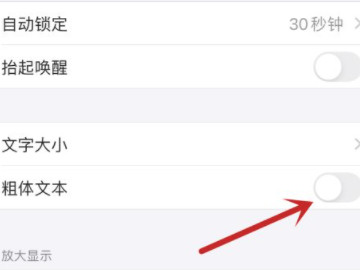 苹果粗体文字怎么设置第4步