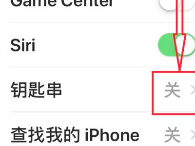 苹果钥匙串在哪里设置第4步