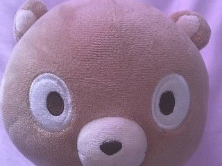 苹果延时拍照第6步