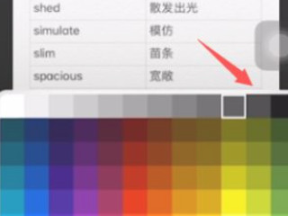 苹果照片马赛克怎么编辑第5步
