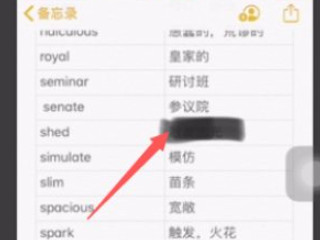 苹果照片马赛克怎么编辑第6步