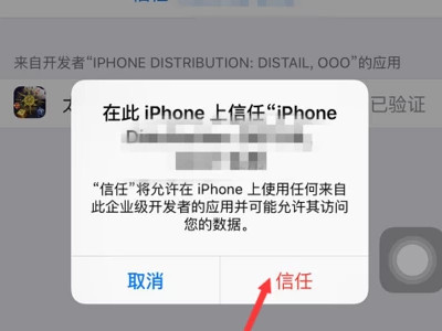 app信任如何设置在哪苹果第5步