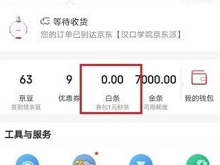 未出账白条怎么提前还款第1步