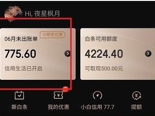 未出账白条怎么提前还款第2步