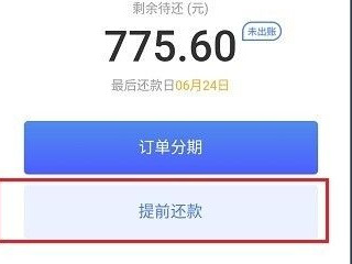 未出账白条怎么提前还款第3步