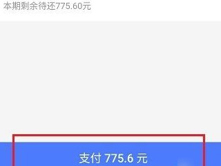 未出账白条怎么提前还款第4步