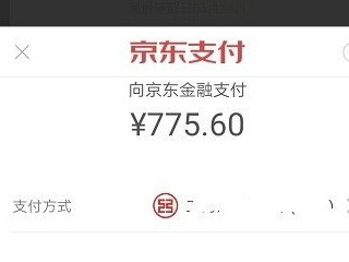 未出账白条怎么提前还款第5步