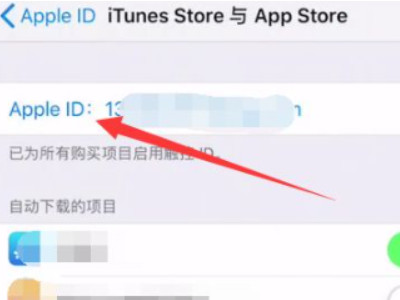 iphone取消订阅在哪第4步
