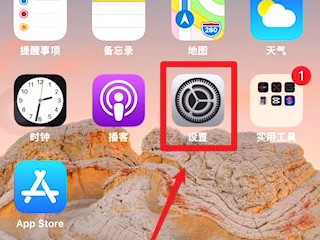 怎么看iphone型号a几几第1步