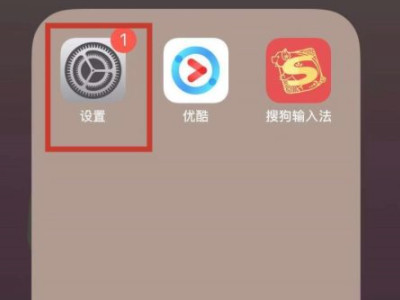苹果手机访问限制没有了第1步