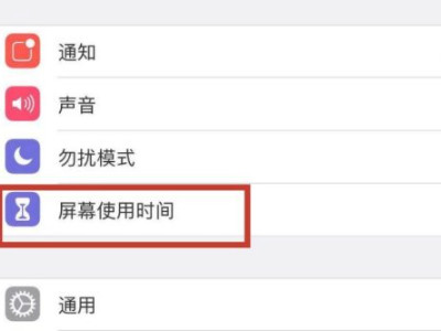 苹果手机访问限制没有了第2步