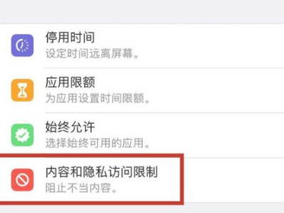苹果手机访问限制没有了第3步